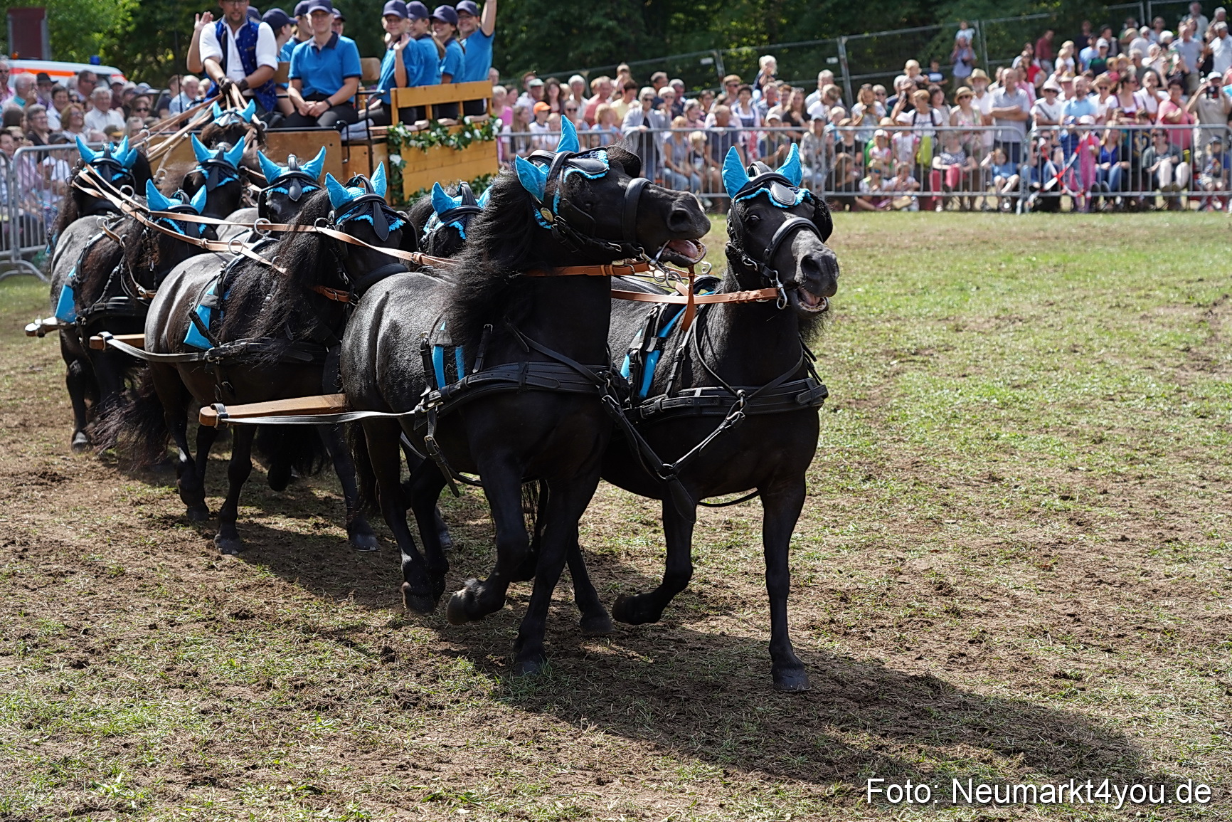 Pferde und Fohlenschau 2022 0294 